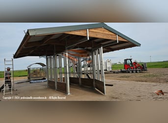 Futterraufen & Heuraufe für Pferde - stabile Pferderaufen und Fressgitter | ACTIVE Pferde