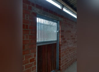 Boxentür mit Holzfüllung