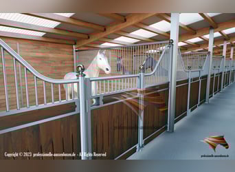 Boxenwand für Pferd - Trennwand, Vorderfront & Innenbox | Stallzubehör