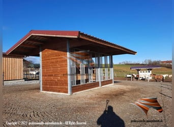 Futterraufen & Heuraufe, Pferderaufe und Fressgitter TOP-ACTIVE Fressgitter Perfekt Pferdehaltung