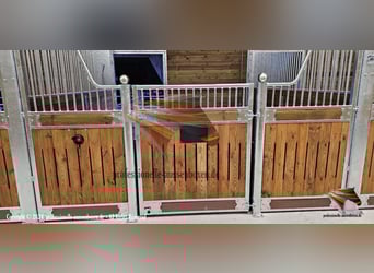 Pferdebox & Stallboxen, Boxenstall | Boxenfront und Trennwand Top - Pferdestall bauen