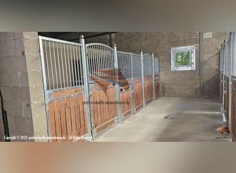 Pferdebox & Stallboxen, Boxenstall | Boxenfront und Trennwand Top - Pferdestall bauen
