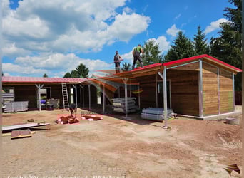 Pferdestall bauen aus Kunststoff – Pferdebox und Außenstall | Stallungen & Offenstall kaufen