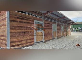 Pferdestall & Stallbau - Außenstall und Pferdebox kaufen | Offenstall & Pferdeunterstand