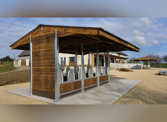 Weide-Heuraufen für Pferde & Futterraufen, ideale Pferderaufen für den Pferdehof