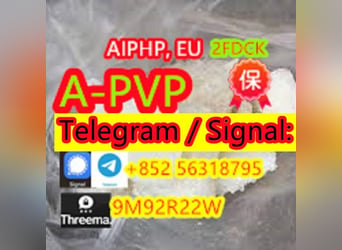 APVP High quality supplier safe spot transport