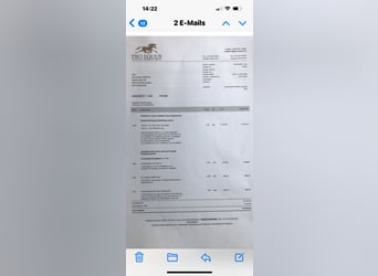 Neuen Pferdezaun zu verkaufen