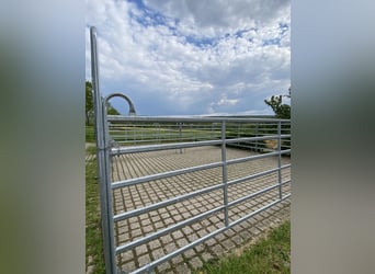 Paddock-/Weidepanel zu vermieten 