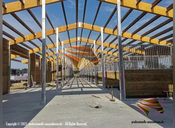 AMERICAN BARN – TOP Stallbau: Pferdestall, Außenboxen, Pferdeboxen, Offenstall und Weidehütten