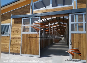 AMERICAN BARN – TOP Stallbau: Pferdestall, Außenboxen, Pferdeboxen, Offenstall und Weidehütten