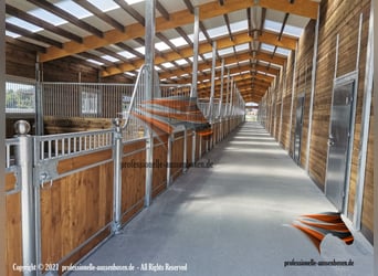 AMERICAN BARN – TOP Stallbau: Pferdestall, Außenboxen, Pferdeboxen, Offenstall und Weidehütten