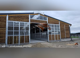 Außenstall kaufen - Pferdestall bauen, ideale Pferdeboxen und Offenstall für Pferde