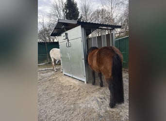 INNOVATIVE FUTTERMACHINE aus Finnland 