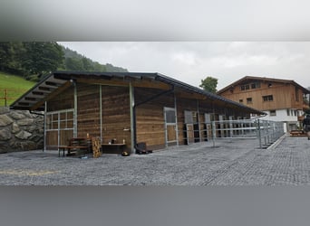 Stallbau & Pferdestall, Außenbox, Pferdebox, Offenstall und Weidehütten mit Heuraufe
