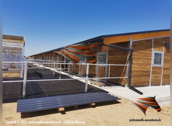 Stallbau & Pferdestall, Außenboxen - Pferdeboxen und Offenstall bauen für Pferde