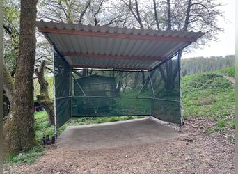 Unterstand für Weide oder Paddock Sommer und Winter