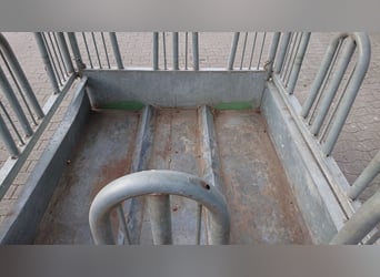 Viereckraufe von Patura, mit Sicherheits-Palisadenfressgittern, 8 Fressplätze