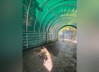 Weidezelt von GROWI®Rundbogen Weideunterstand