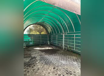 Weidezelt von GROWI®Rundbogen Weideunterstand