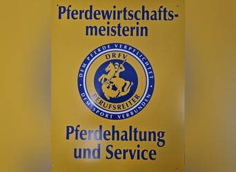 Bürotätigkeit/ Gestütsleitung/ Pferdewirtschaftsmeister/ Bereiter