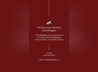 Pferdepfleger/in / Stallhilfe / Reiter/in gesucht 