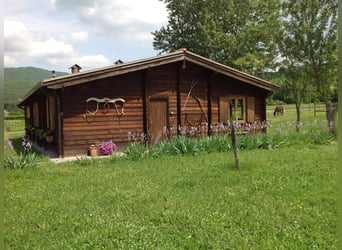 Auslandserfahrung in der Toskana