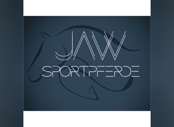 Stallmanager gesucht auf kleiner Reitanlage!