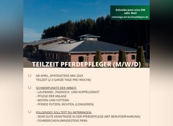 Ab März: Teilzeit Stallhilfe/Pferdepfleger (m/w/d)