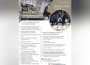 Pferdepfleger/in in Teil-/ oder Vollzeit gesucht