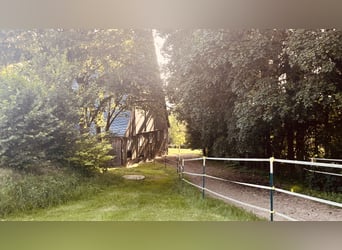 Praktikant/Praktikantin gesucht