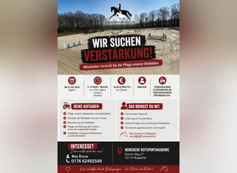 🚜 Minijob in Wuppertal – Mitarbeiter (m/w/d) für die Pflege unserer Reitböden gesucht!