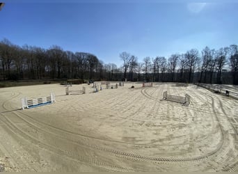 🚜 Minijob in Wuppertal – Mitarbeiter (m/w/d) für die Pflege unserer Reitböden gesucht!