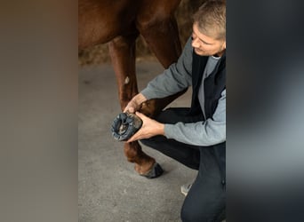 Netzwerkmanager Außendienst / Vertrieb Partnernetzwerk (m/w/d)