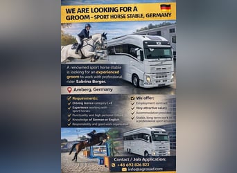 We are looking for a groom for a professional rider