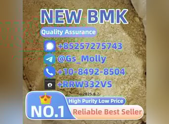 B M K Glycidate Powder CAS 5413-05-8  | Stable Supply | Solvent-Free Process