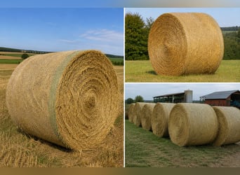 Rundballen Heu