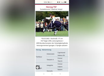 TK Samen von Herzog TSF durch Verlust Stute dringend zur Abgabe