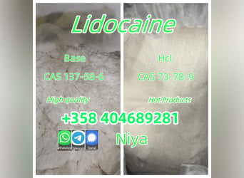 99% Pure Lidocaine Lidocaina Base Powder CAS 137-58-6