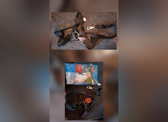 Hundegeschirr    Autohundegeschirr  mit Gurt Set NEU Gr L