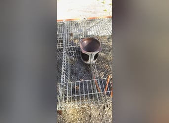 Käfige für Kaninchen