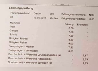 Koń hanowerski, Klacz, 15 lat, 167 cm, Siwa