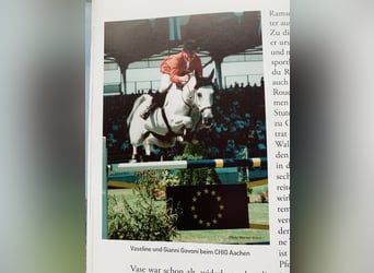 Koń holsztyński, Klacz, 4 lat, 166 cm, Stalowosiwy