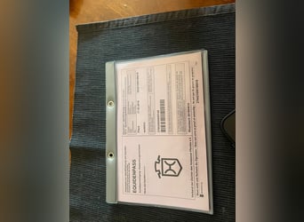 Koń holsztyński, Klacz, 7 lat, 164 cm, Gniada