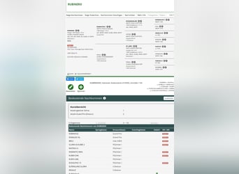 Koń oldenburski, Klacz, 11 lat, 168 cm, Siwa
