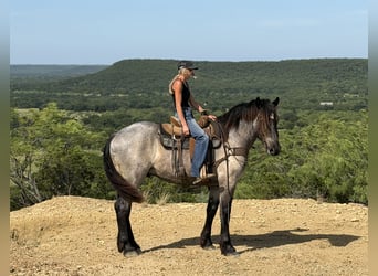 Koń pociągowy Mix, Wałach, 3 lat, 173 cm, Karodereszowata