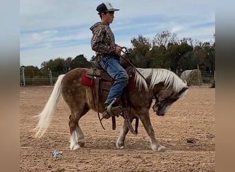 Kuc walijski partbred Mix, Wałach, 10 lat, 107 cm