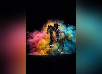 Kłusak niemiecki, Klacz, 19 lat, 172 cm, Ciemnogniada