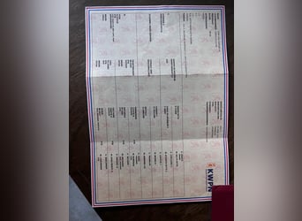 KWPN, Caballo castrado, 4 años, 163 cm, Castaño oscuro