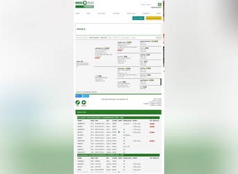 KWPN, Caballo castrado, 6 años, 166 cm, Castaño oscuro