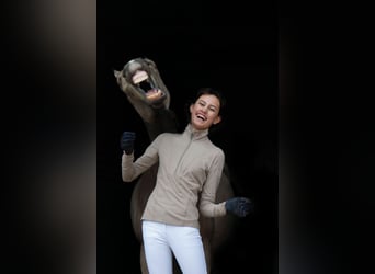 KWPN, Castrone, 9 Anni, 146 cm, Pelle di daino